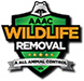 Wildlife Removal Cinco Ranch